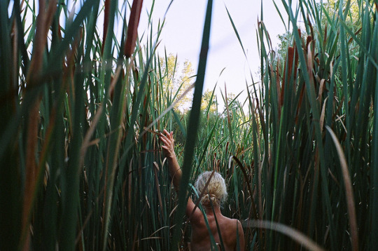 An image of  a woman walks through tall cane, with one hand stretched overhead